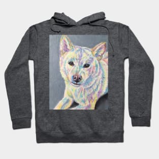 Colourful Shiba -Inu Hoodie